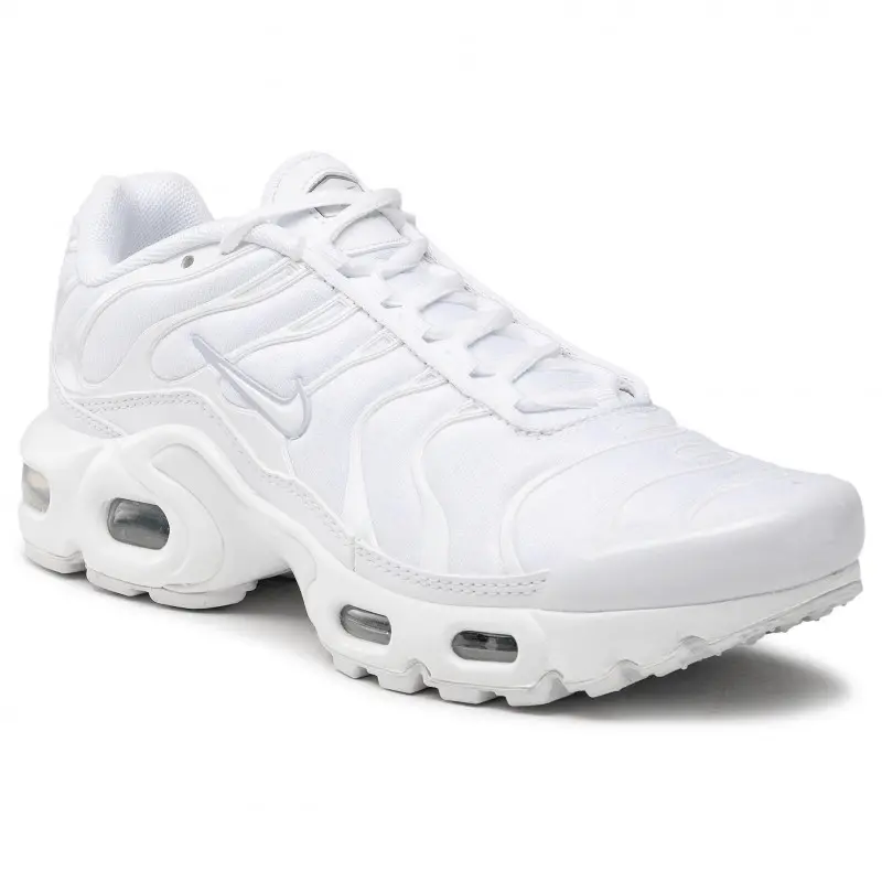 Giày Nike Air Max Plus GS 'White Metallic Silver' CW7044-100 - Ảnh 5