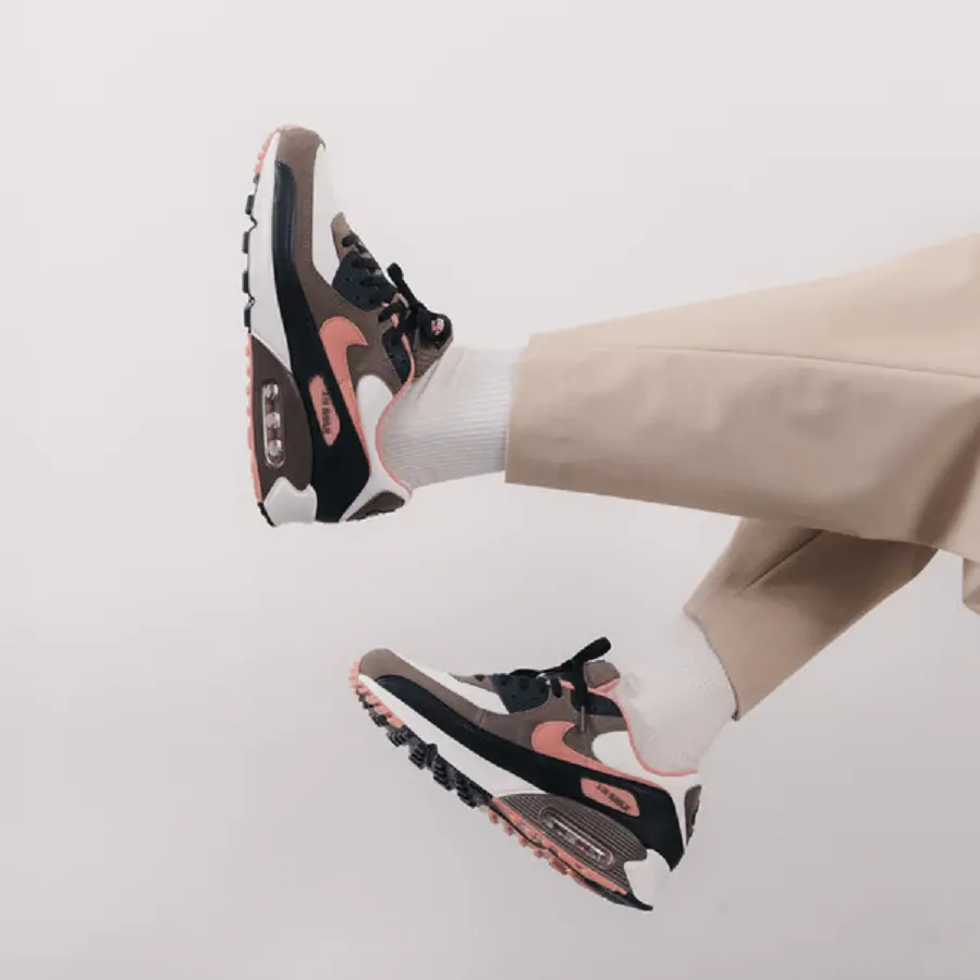 Giày Nike Air Max 90 'Brown Terracotta' DM0029-105 - Ảnh 3