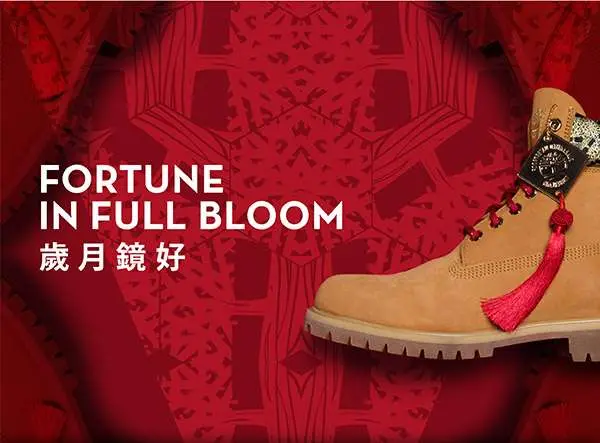 Giày Timberland CNY 6-inch Premium Boot VF-A1RQG-FM012 - Ảnh 4