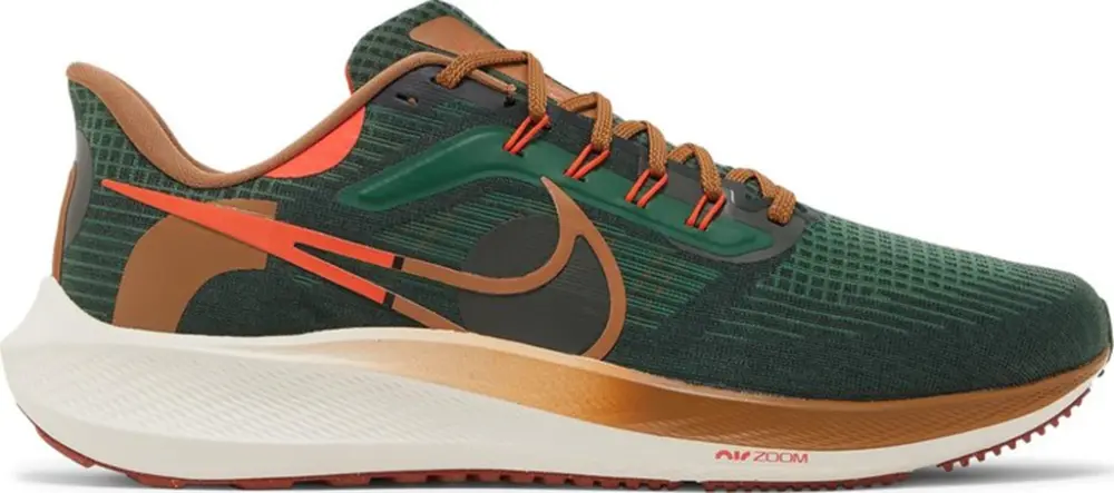 Giày Nike Air Zoom Pegasus 39 'A.I.R. Hola Lou' DO9500-300