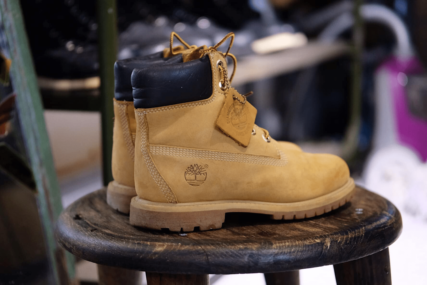 Giày Timberland 6 Inch Premium Lace Up Beige Flat Boots 10361 - Ảnh 3