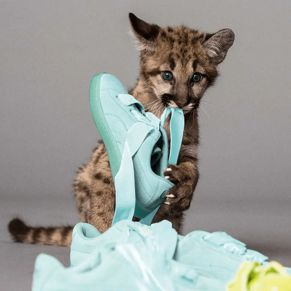 Giày Puma Suede Heart Reset Wmns 'Aruba Blue' 363229-01 - Ảnh 7