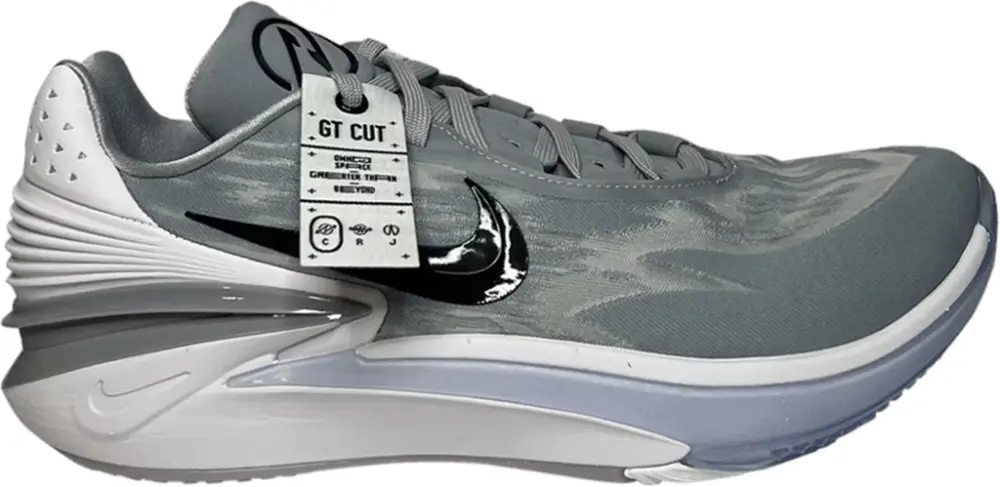 Giày Nike Air Zoom GT Cut 2 TB P 'Wolf Grey' DX6650-003
