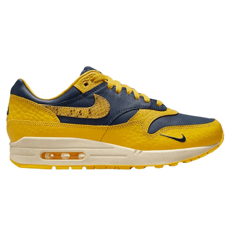 Giày Nike Air Max 1 'Head To Head' FJ5479-410