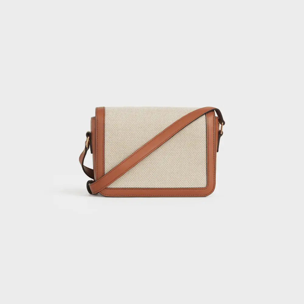 Túi Celine Teen Triomphe 'Tan White' 188882BGI-04LV - Ảnh 5