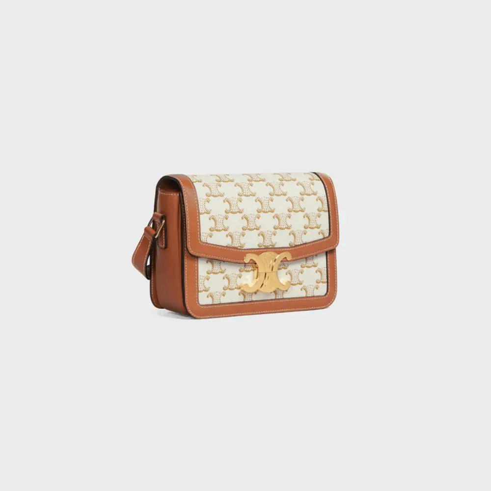 Túi Celine Teen Triomphe 'White Brown' 188882BZ4-01BC - Ảnh 4
