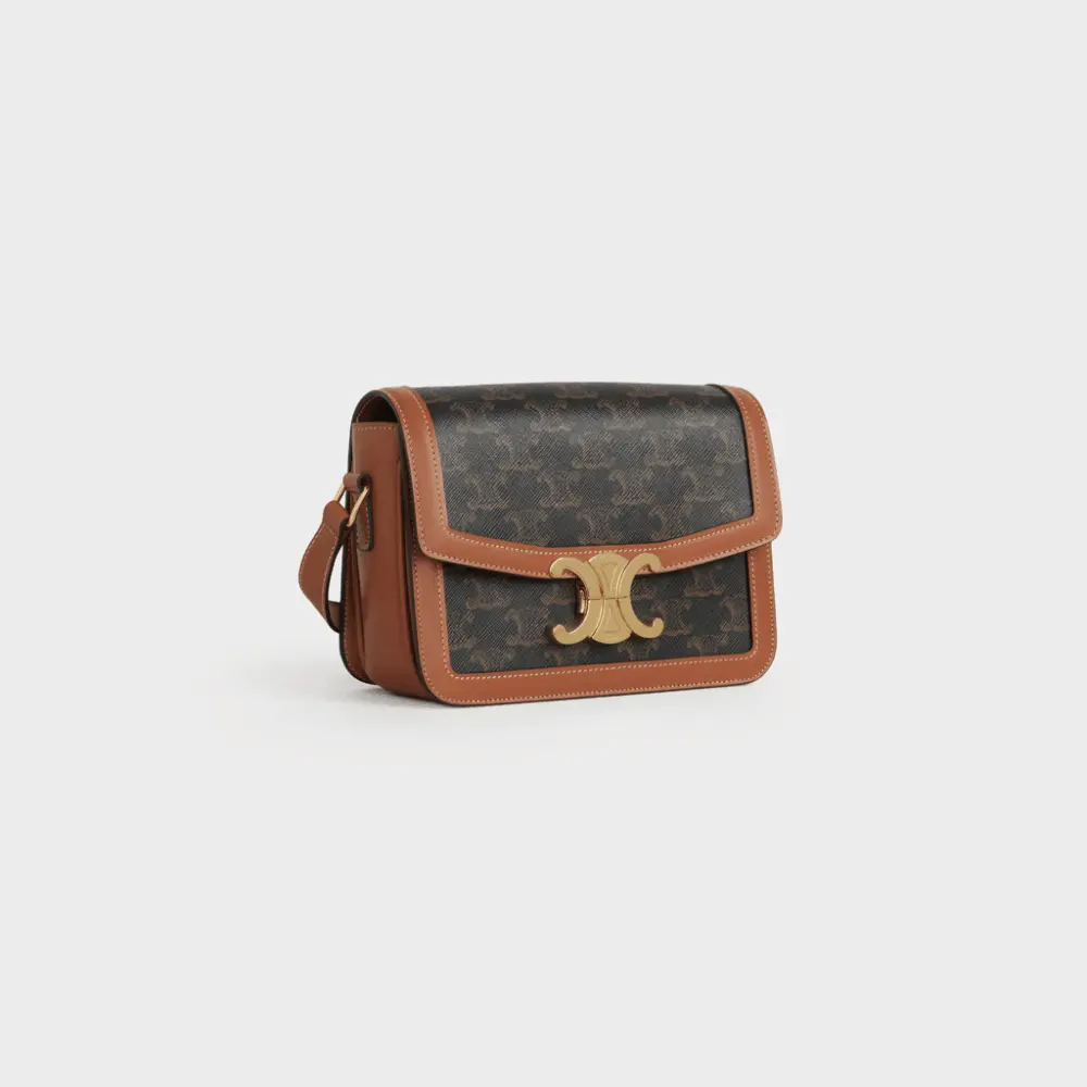 Túi Celine Triomphe Bag In Triomphe Canvas And Calfskin Tan 188882BZ4-04LU - Ảnh 5