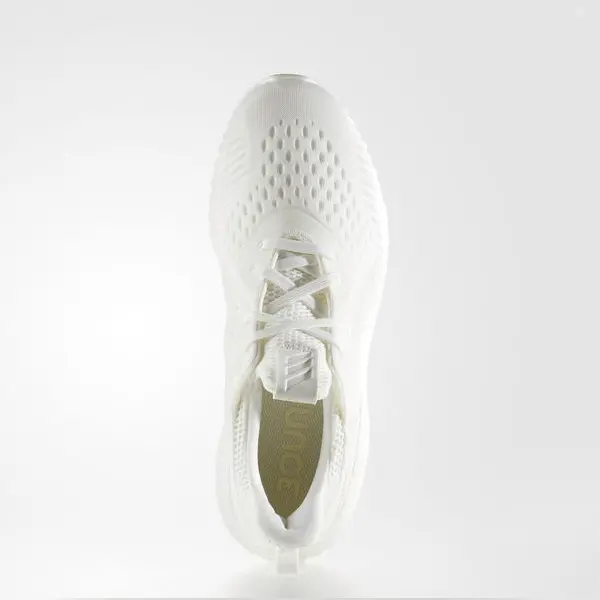Giày Adidas Wmns Alphabounce EM 'Undye' BW1226 - Ảnh 5