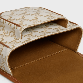 Túi Celine Medium Folco Bag In Triomphe Canvas 191502BZJ-01BC - Ảnh 3