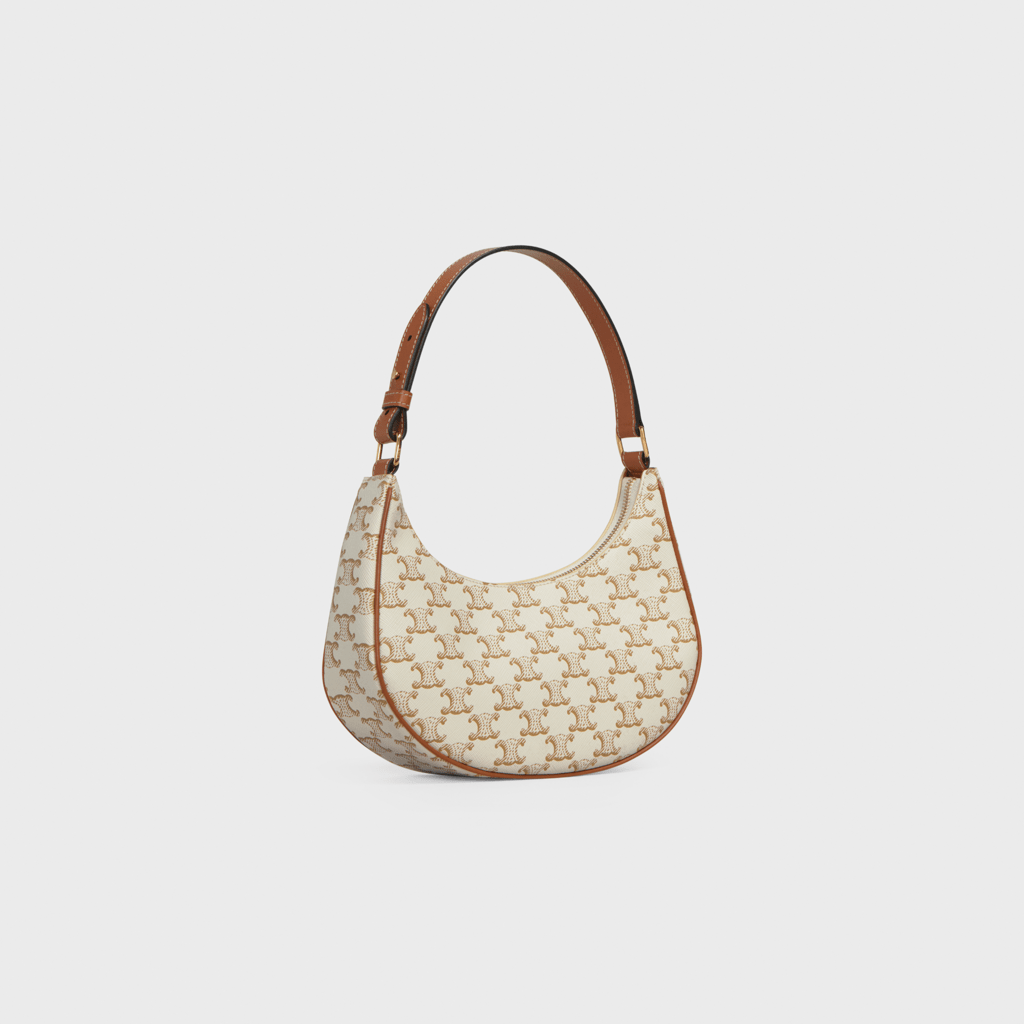 Túi Celine Ava Bag In Triomphe Canvas And Calfskin 'White' 193952BZJ-01BC - Ảnh 4