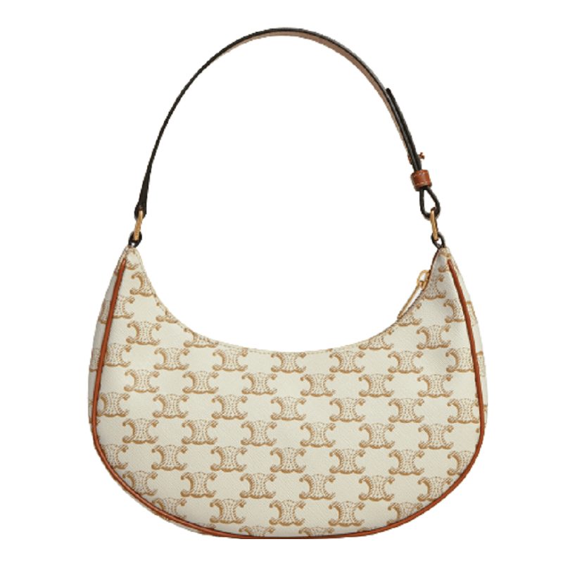 Túi Celine Ava Bag In Triomphe Canvas And Calfskin 'White' 193952BZJ-01BC