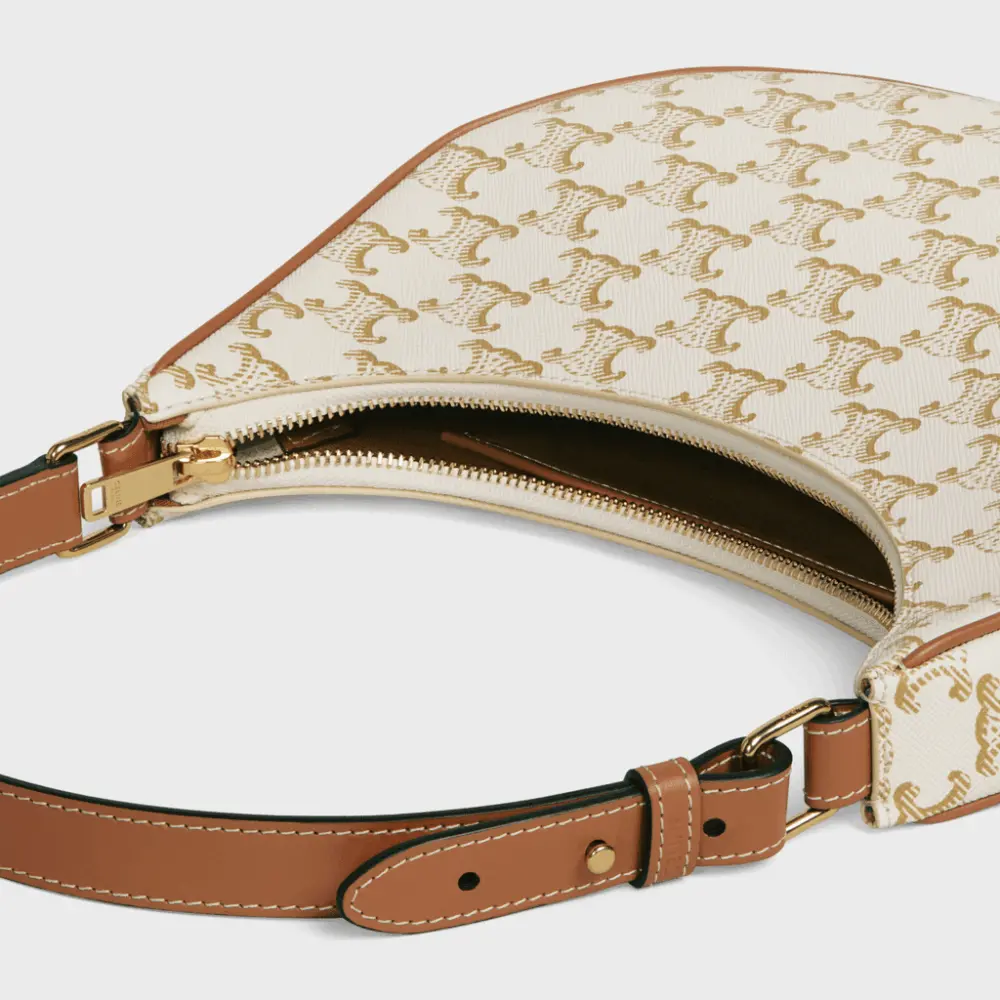 Túi Celine Ava Bag In Triomphe Canvas And Calfskin 'White' 193952BZJ-01BC - Ảnh 3