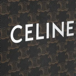 Túi Celine Mini Vertical Hippo Triomphe Canvas Tan 194372BZK.04LU - Ảnh 4