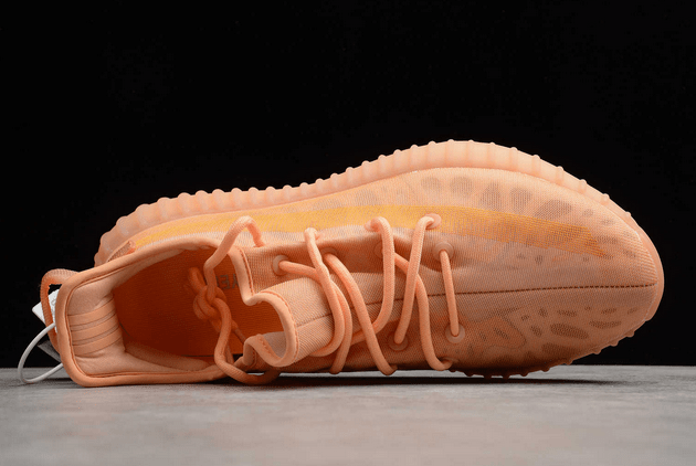 Giày Adidas Yeezy Boost 350 V2 'Mono Clay' GW2870 - Ảnh 2