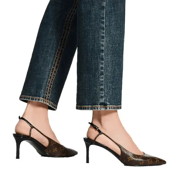 Giày Cao Gót Louis Vuitton Cherie Slingback Pumps 'Brown' 1A5BPP - Ảnh 4