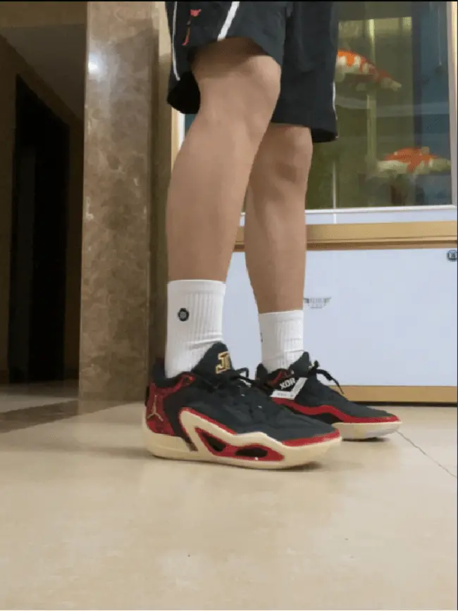 Giày Nike Air Jordan Tatum 1 'Zoo' DX5572-001 - Ảnh 3