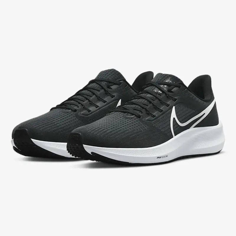 Giày Nike Pegasus 39 'Dark Smoke' DH4072-001 - Ảnh 4
