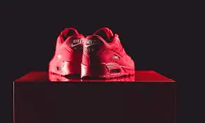 Giày Nike Air Max 90 Essential 'University Red' AJ1285-602 - Ảnh 5