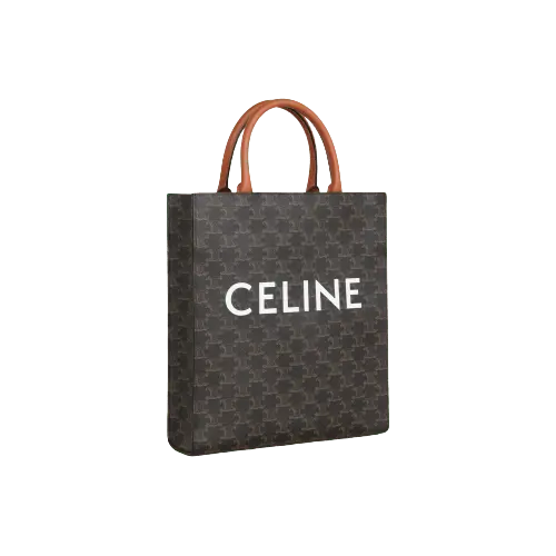 Túi Celine Small Cabas Vertical Triomphe Canvas And Calfskin 191542BZK-04LU - Ảnh 5
