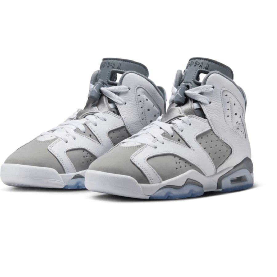 Giày Nike Jordan 6 Retro 'Cool Grey' GS 384665-100 - Ảnh 4