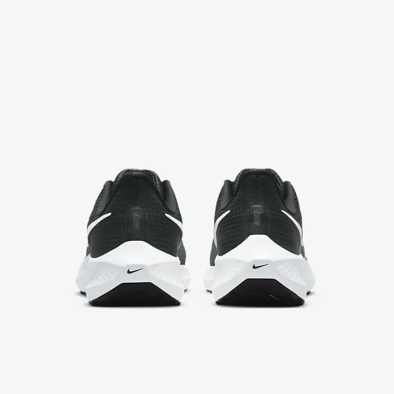 Giày Nike Pegasus 39 'Dark Smoke' DH4072-001 - Ảnh 6