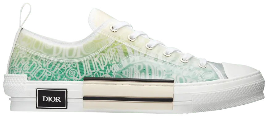 Giày Dior B23 Low Dior and Shawn Print 3SN249YYL-H661