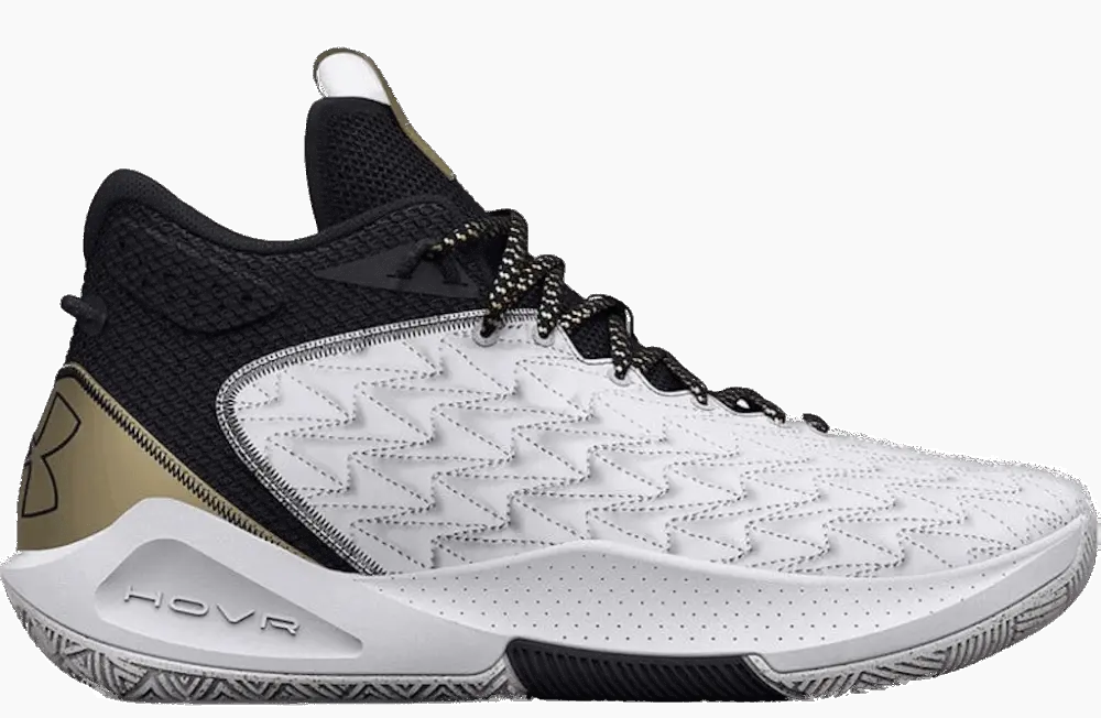 Giày Under Armour HOVR Havoc 5 Clone 'White Black' 3025605-100