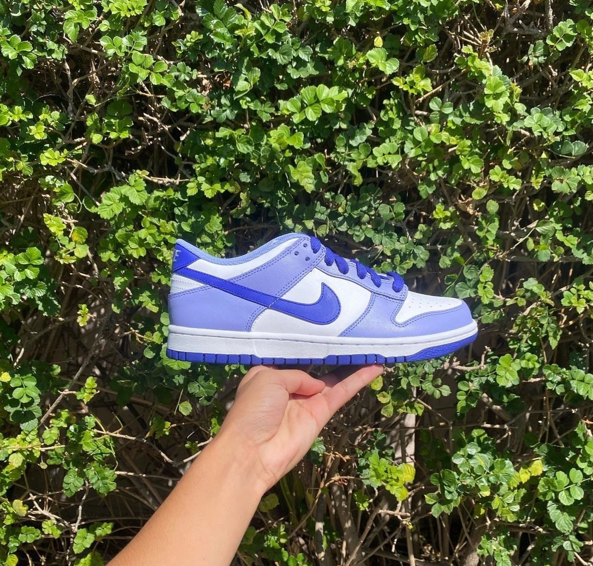 Giày Nike Dunk Low Blueberry (GS) 'Light Thistle' DZ4456-100 - Ảnh 4