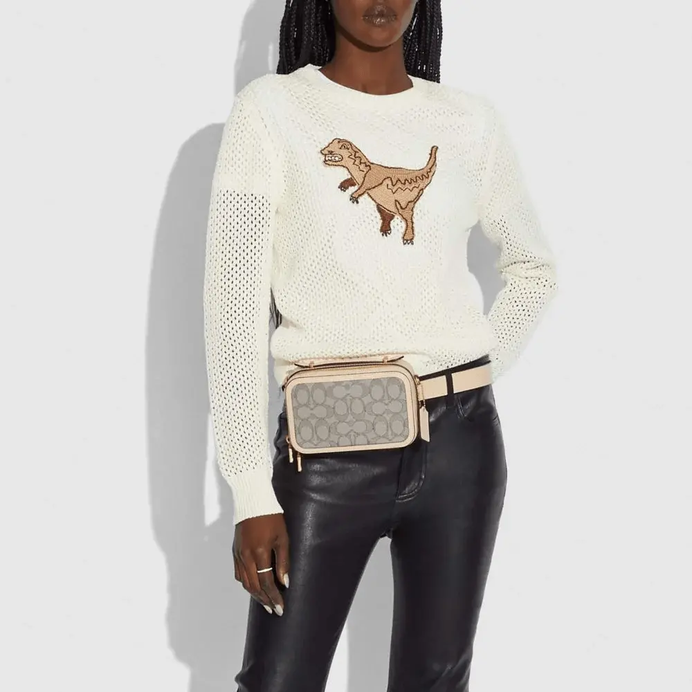 Túi Coach Alie Belt Bag In Signature Jaccquard 4813 B4SHG - Ảnh 3