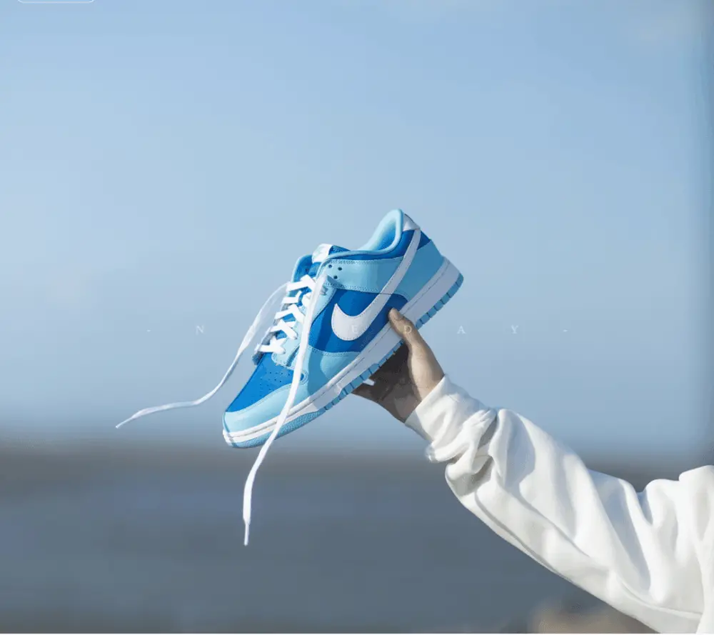 Giày Nike Dunk Low Retro QS 2022 'Argon' DM0121-400 - Ảnh 7