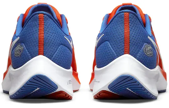 Giày Nike Air Zoom Pegasus 38 'Florida' DJ0826-800 - Ảnh 3