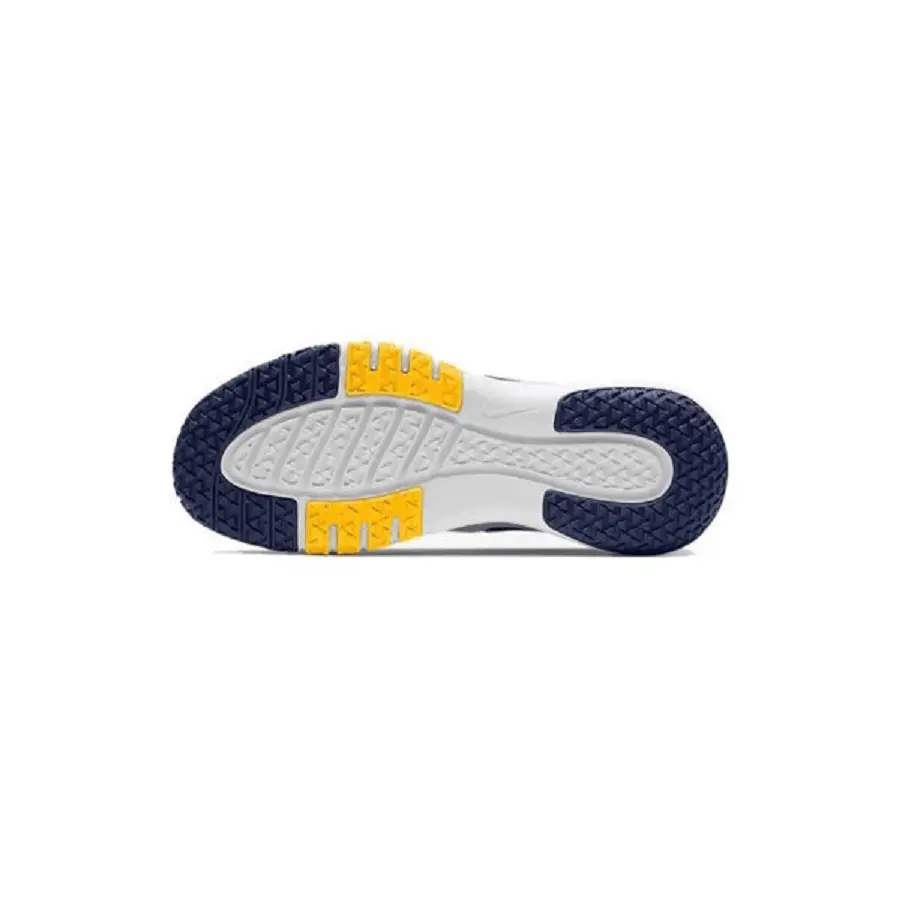 Giày Nike Flex Control 4 ‘Pure Platinum Navy’ CD0197-007 - Ảnh 4