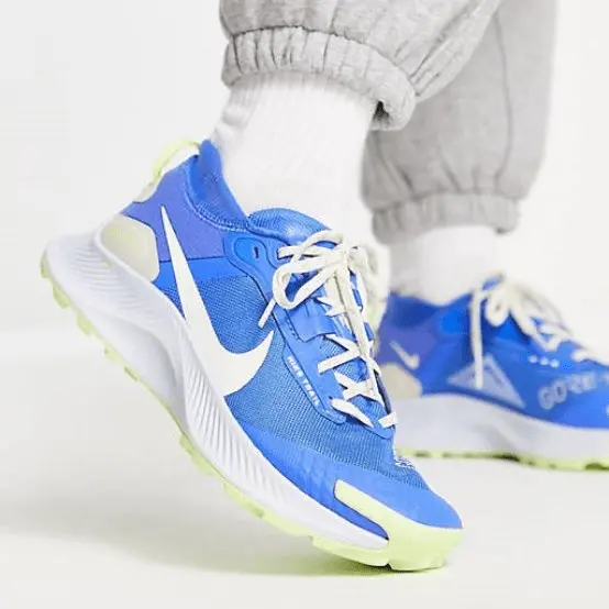 Giày Nike Pegasus Trail 3 Gore Tex 'Blue' DC8794-400 - Ảnh 4
