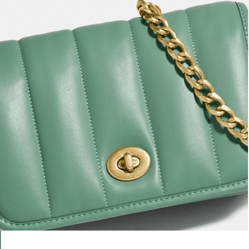 Túi Coach Dinky 18 With Quilting C3843 B4OFU - Ảnh 4