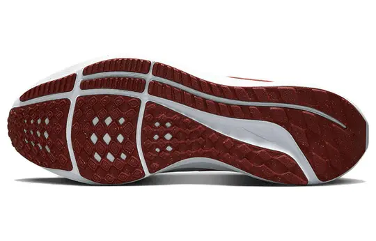 Giày Nike Air Zoom Pegasus 39 'Grey Bright Crimson' DH4071-007 - Ảnh 5