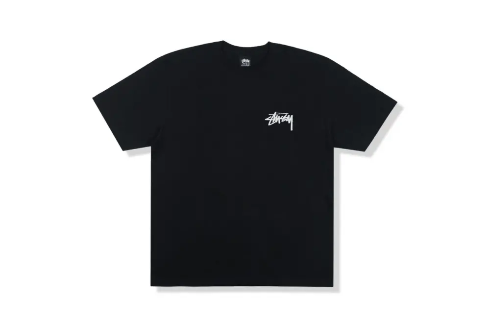 Alternative view of Áo Stussy Coastline Tee 'Black' 1904817