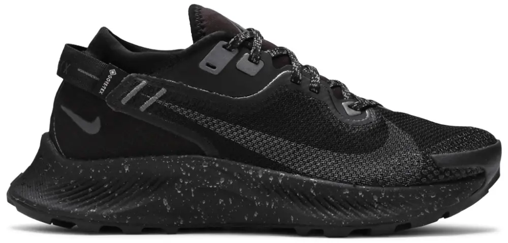 Giày Nike Pegasus Trail 2 Gore-Tex 'Black Metallic Dark Grey' CU2018-001