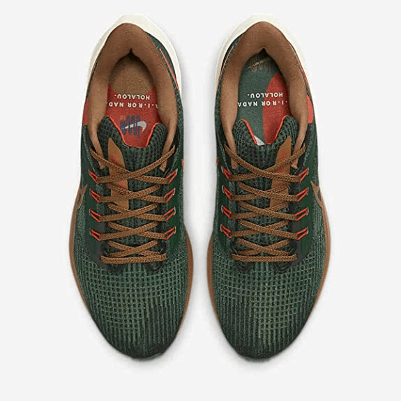 Giày Nike Air Zoom Pegasus 39 'A.I.R. Hola Lou' DO9500-300 - Ảnh 6