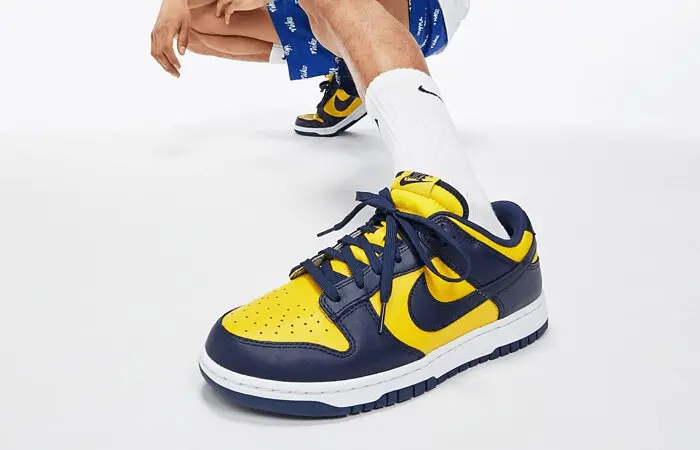 Giày Nike Dunk Low Michigan 2021 DD1391-700 - Ảnh 5