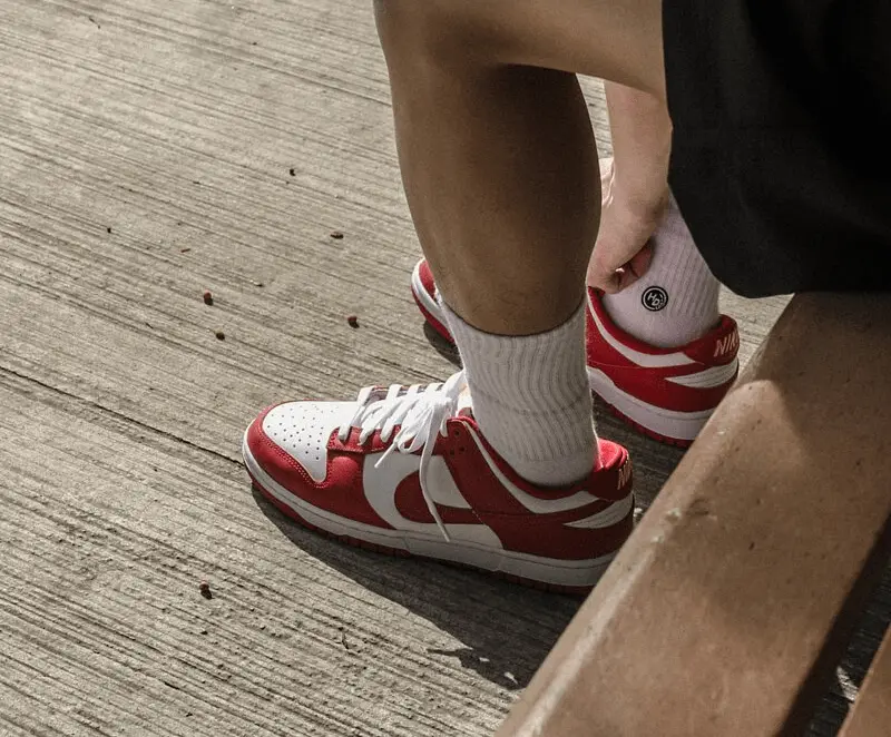 Giày Nike Dunk Low Retro 'Gym Red' DD1391-602 - Ảnh 3