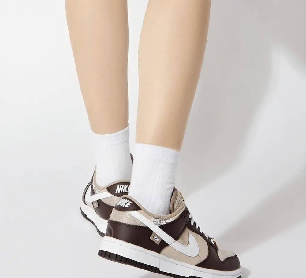 Giày Nike Dunk Low 'Brown Basalt' DX6060-111 - Ảnh 5