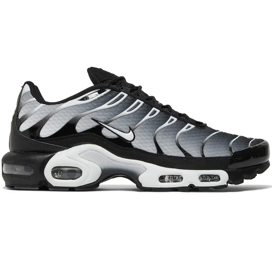 Giày Nike Air Max Plus 'Black Metallic Silver' DM0032-003