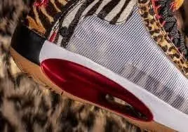 Giày Jayson Tatum x Air Jordan 34 'Welcome To The Zoo' DA1899-900 - Ảnh 3