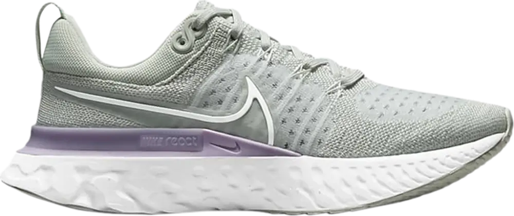 Giày Nike Wmns React Infinity Run Flyknit 2 'Light Silver Lilac' CT2423-005