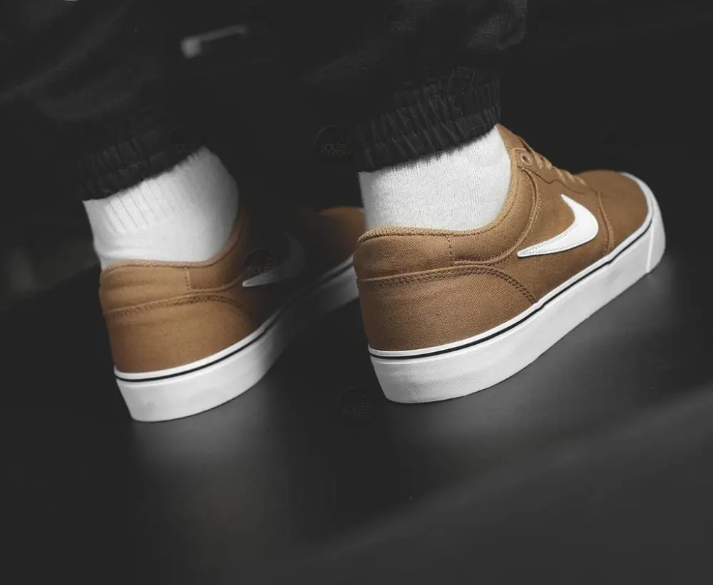 Giày Nike SB Chron 2 Canvas 'Ale Brown Gum' DM3494-200 - Ảnh 3