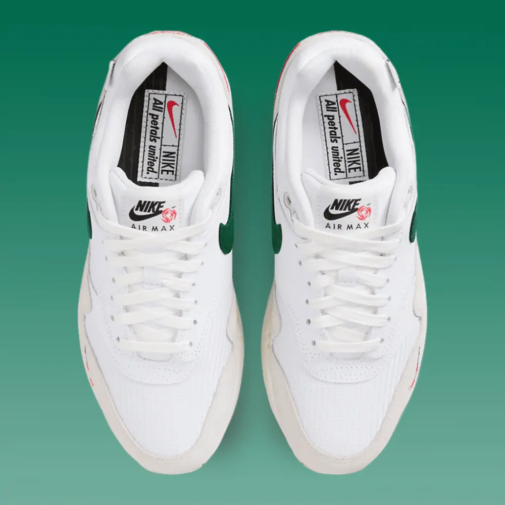 Giày Nike Air Max 1 'All Petals United'FQ0256-131 - Ảnh 5