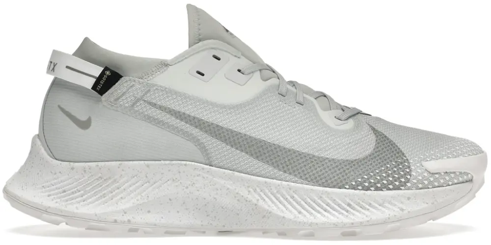 Giày Nike Pegasus Trail 2 Gore-Tex 'Pure Platinum' DC1933-100
