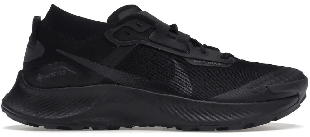 Giày Nike Pegasus Trail 3 GTX 'Triple Black' DC8793-001