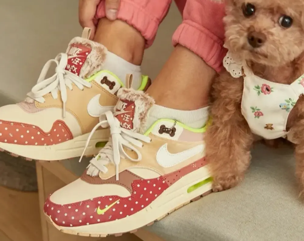 Giày Nike Air Max 1 PRM 'Woman's Best Friend' DR2553-111 - Ảnh 4