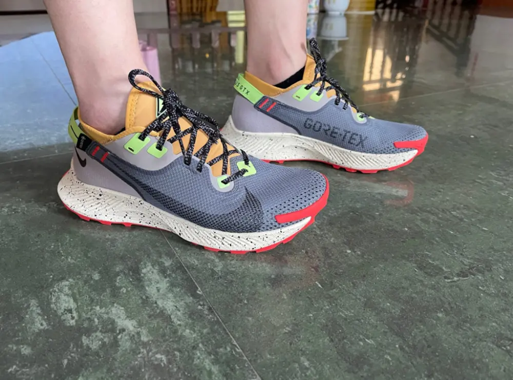 Giày Nike Pegasus Trail 2 GTX 'Smoke Grey Bucktan' CU2016-002 - Ảnh 3